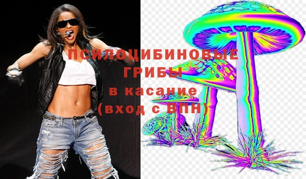 прущая мука Армянск
