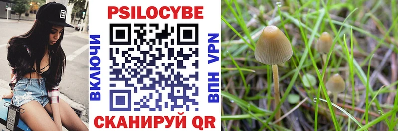 blacksprut зеркало  Макушино  Псилоцибиновые грибы Magic Shrooms 